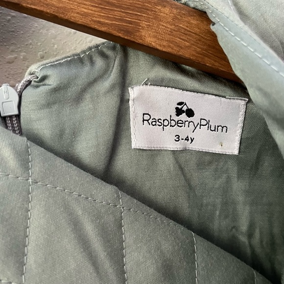 RaspberryPlum Green Cherry Blossom Bird Embroidered Quilted Dress Size 3-4 Years - Picture 5 of 12